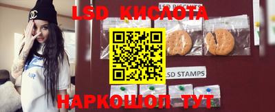 крисы Можга