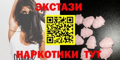 крисы Можга