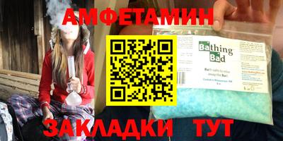 крисы Можга