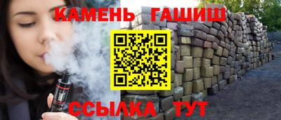 крисы Можга