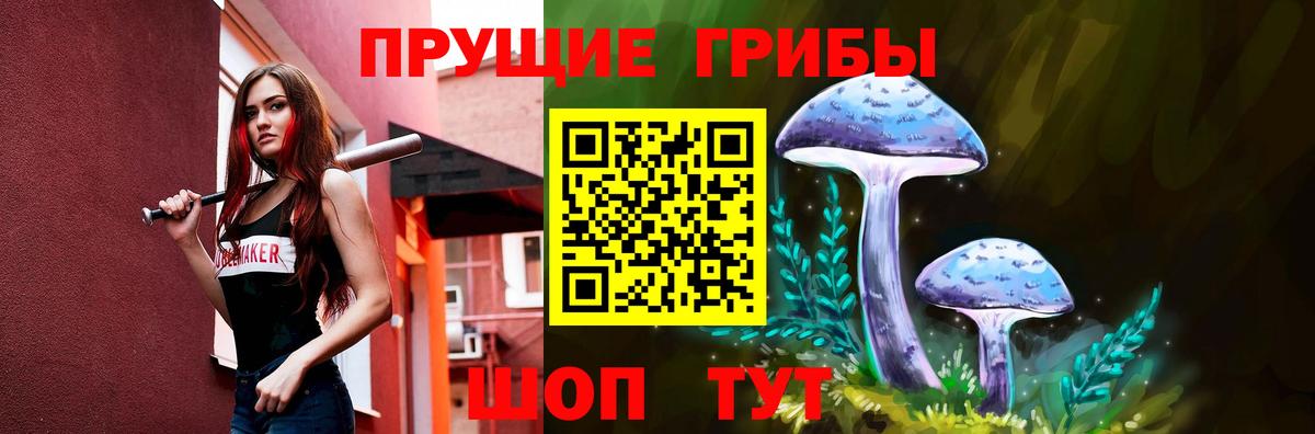 Галлюциногенные грибы Cubensis  Вход с VPN  Среднеуральск 